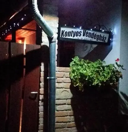 Kontyos Vendeghaz Apartment Romhany