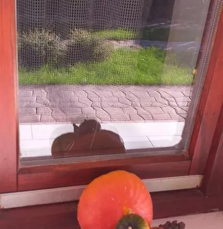 Kontyos Vendeghaz
