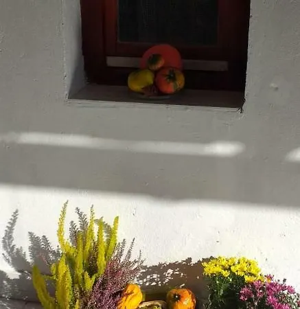 Kontyos Apartman *